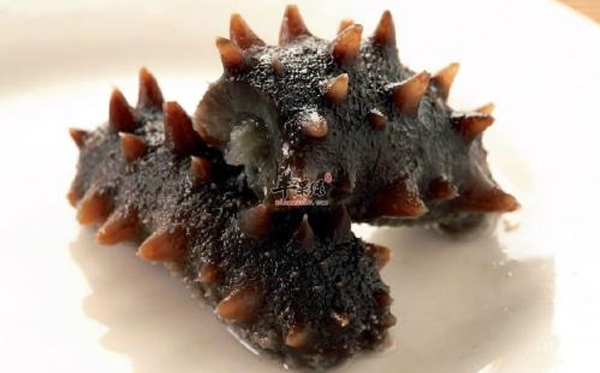 長(zhǎng)島野生干海參到底好在哪里？